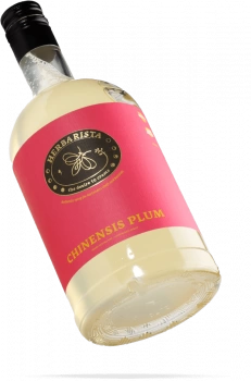 Сироп Herbarista Chinensis Plum Личи 700 мл
