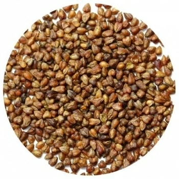 Чай Гречишный Ку Цяо LBS Tea