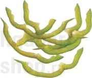 Диск соломка Robot Coupe 28153 1х26 мм