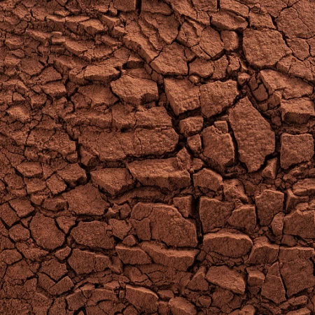 Какао-порошок Barry Callebaut Rouge Ultime 20-22% 1 кг
