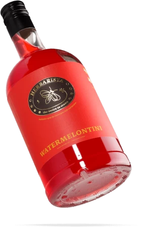 Сироп Herbarista Watermelontini арбуз 700 мл