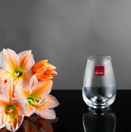 Стакан для воды RONA Drink master 220 мл