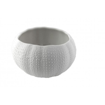 Салатник «Медитер»; фарфор; H=3.5,L=6.5,B=8см; белый,матовый