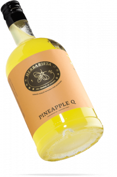 Фото Сироп Herbarista Pineapple Q Ананас 700 мл Сироп Herbarista Pineapple Q Ананас 700 мл