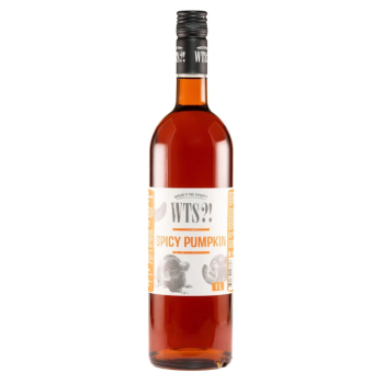 Сироп WTS?! Пряная тыква стекло 1 л