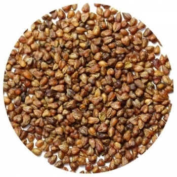 Чай Гречишный Ку Цяо LBS Tea