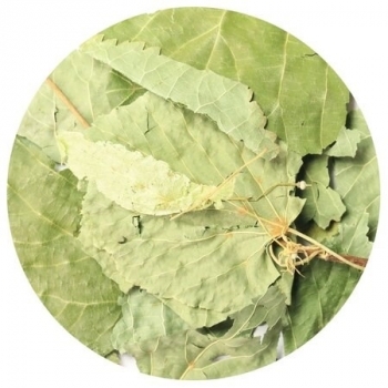 Липа цвет крупный лист LBS Tea