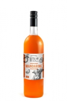 Сироп WTS?! Mandarin Мандарин стекло 1 л