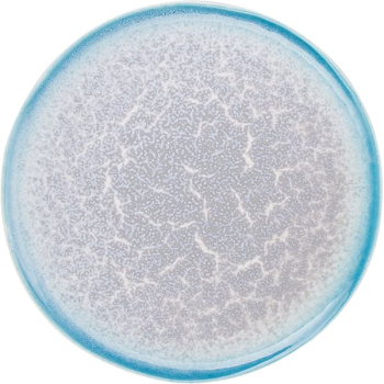 Тарелка «Нептун»; фарфор; D=27.9см; бирюз.,белый