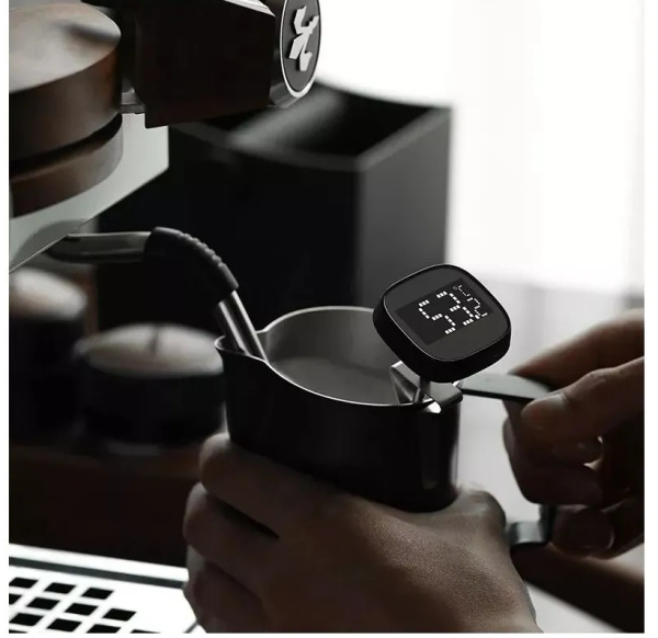 Термометр электронный MHW-3Bomber черный