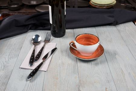 Чайная пара P.L. Proff Cuisine Fusion Brown Shore 220 мл