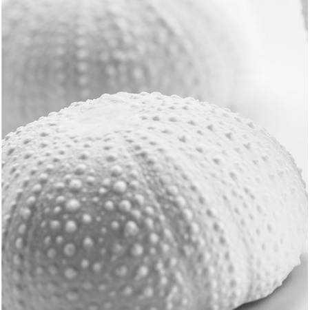 Салатник «Медитер»; фарфор; H=3.5,L=6.5,B=8см; белый,матовый