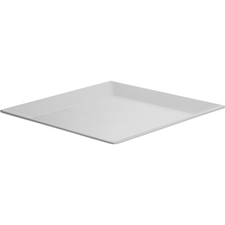 Блюдо; пластик; L=51,B=51см; белый