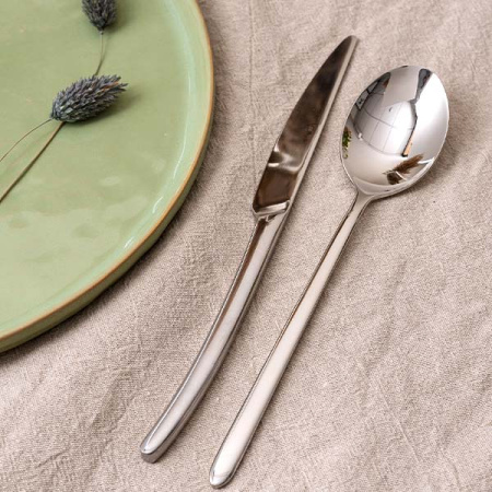 Ложка столовая «Аляска»; сталь нерж.; L=210/60,B=4мм; металлич.