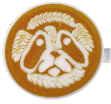 Комплект для латте-арта Insane Latte Art Fake Milk Concentrate + набор карточек SPECIAL