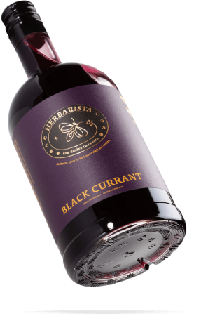 Сироп Herbarista Black Currant Черная смородина с листьями 700 мл