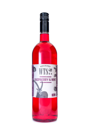 Сироп WTS?! Raspberry-mint Малина-мята стекло 1 л