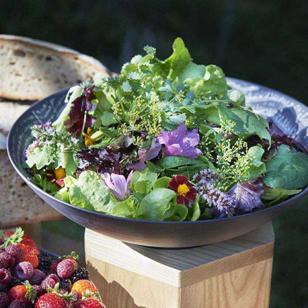 Салатник «Арборесценс» цвет-лакрица; фарфор; 850мл; D=24,H=6см