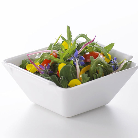 Салатник квадратный «Бомбей»; фарфор; 350мл; H=5.5,L=14,B=13см; белый