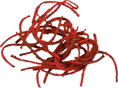 Набор дисков Robot Coupe 1933