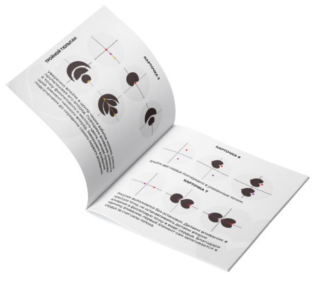 Комплект для латте-арта Insane Latte Art Fake Milk Concentrate + набор карточек BASIC