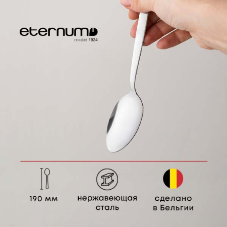 Ложка столовая «Визув»; сталь нерж.; L=190/65,B=2мм; металлич.