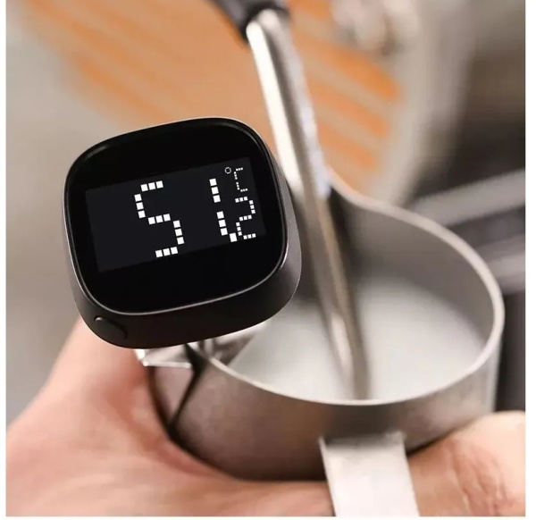 Термометр электронный MHW-3Bomber черный