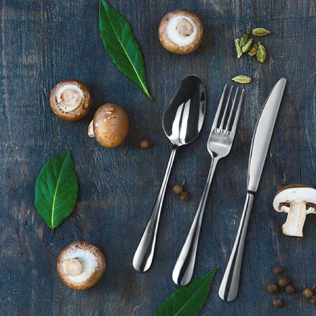 Вилка столовая «Аркада»; сталь нерж.; L=205/70,B=4мм; металлич.