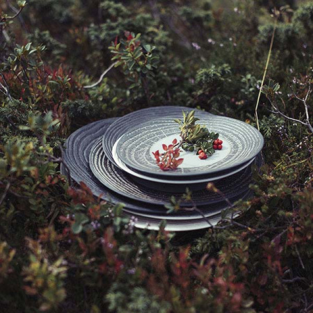 Тарелка мелкая «Арборесценс»; фарфор; D=26.5,H=3см; черный,серый