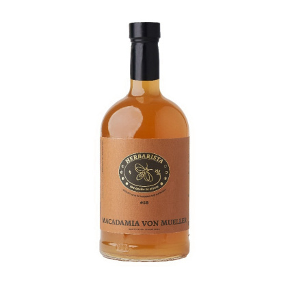 Фото Сироп HerBarista Macadamia von Mueller Макадамия 700 мл Сироп HerBarista Macadamia von Mueller Макадамия 700 мл