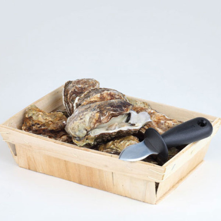 Нож для устриц; сталь нерж.,пластик; L=15/5.5,B=4.7см; черный,металлич.