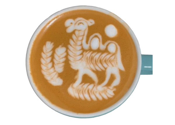 Концентрат для взбивания пены Insane Latte Art Fake Milk Concentrate