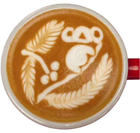 Комплект для латте-арта Insane Latte Art Fake Milk Concentrate + набор карточек PROFI