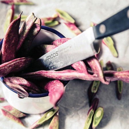 Нож кухонный «Класика»; сталь нерж.,полиоксиметилен; L=27/16,B=2.4см; черный,металлич.