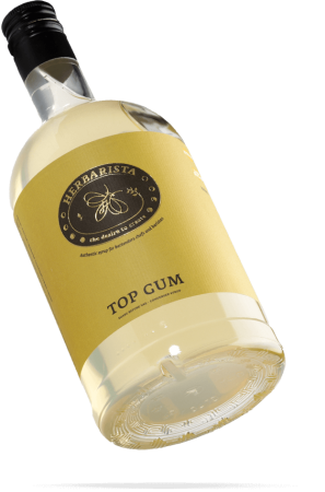 Сироп Herbarista Top Gum Мощный сахарный сироп 700 мл