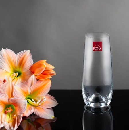 Стакан для воды RONA Drink master 230 мл