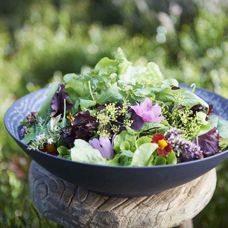 Салатник «Арборесценс» цвет-лакрица; фарфор; 850мл; D=24,H=6см