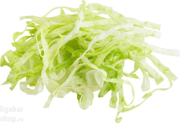 Фото Диск-слайсер Robot Coupe 28066 (8 мм) Диск-слайсер Robot Coupe 28066 (8 мм)