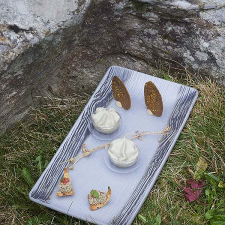 Блюдо прямоуг. «Арборесценс»; керамика; L=30,B=12см; черный,серый