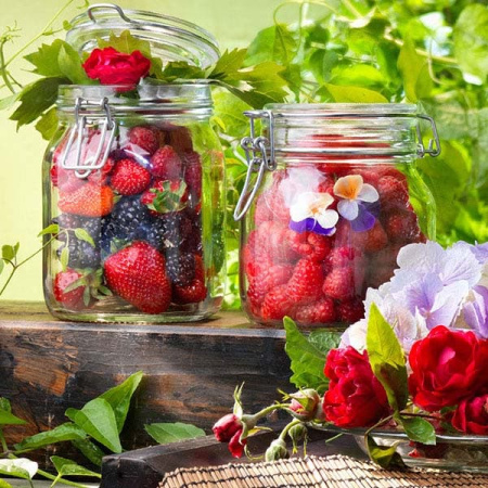 Банка для сыпуч. продук. «Фидо»; стекло; 1.5л; D=9.5,H=21.5см; прозр.