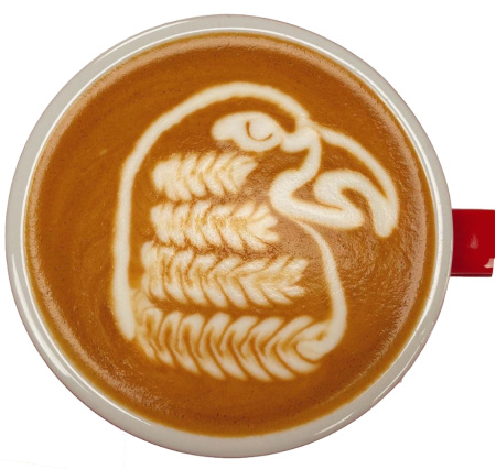 Комплект для латте-арта Insane Latte Art Fake Milk Concentrate + набор карточек PROFI