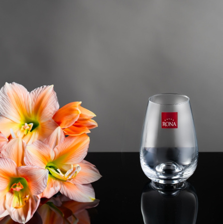 Стакан для воды RONA Drink master 220 мл