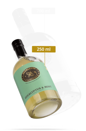 Сироп Herbarista Eucalyptus & Mint Эвкалипт и мята 250 мл